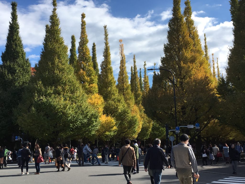 神宮外苑の紅葉を見ながら自転車に乗る　11月の混雑状況